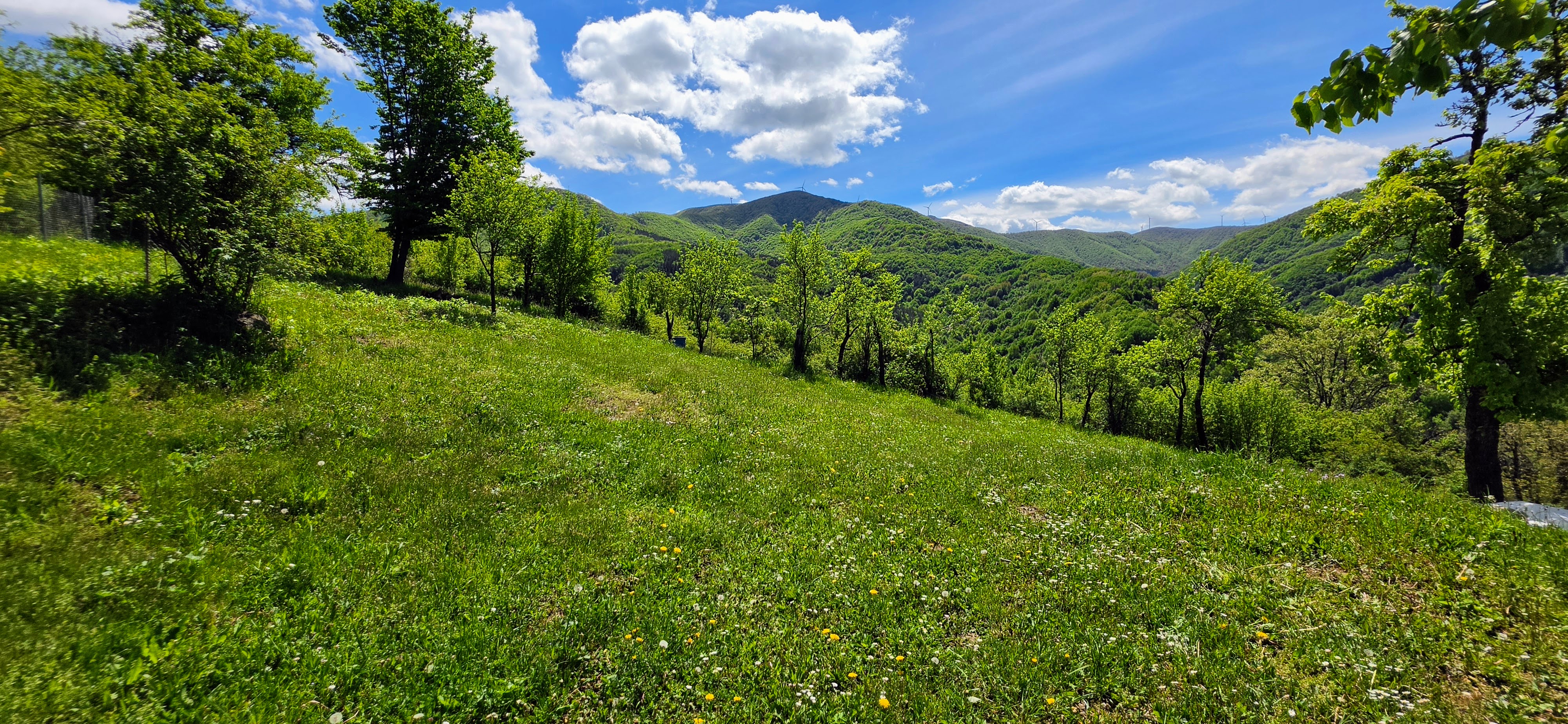 Mountain Property with an Authentic House and Panoramic Views above Gabrovo 5